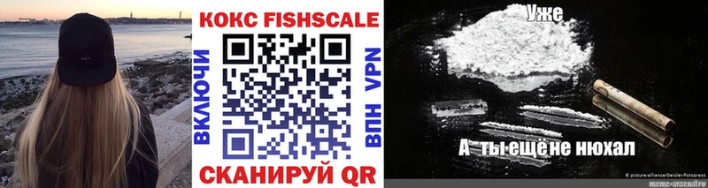 COCAIN Fish Scale  Сокол 