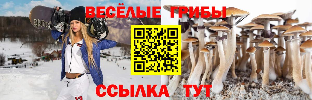 Сокол  Псилоцибиновые грибы Magic Shrooms  Вход с VPN  Галлюциногенные грибы Psilocybe 