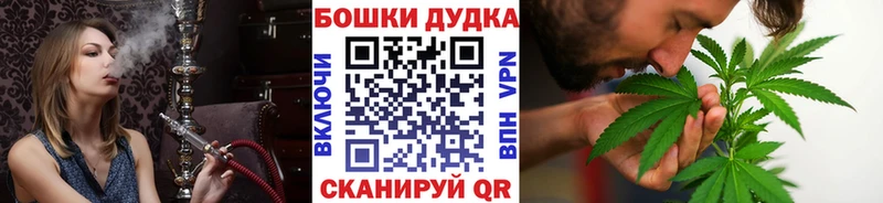 Канабис MAZAR  Сокол 